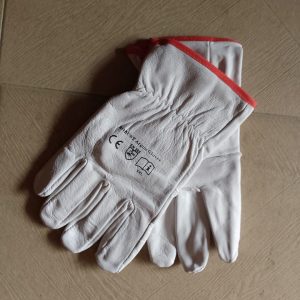 Agon Gloves